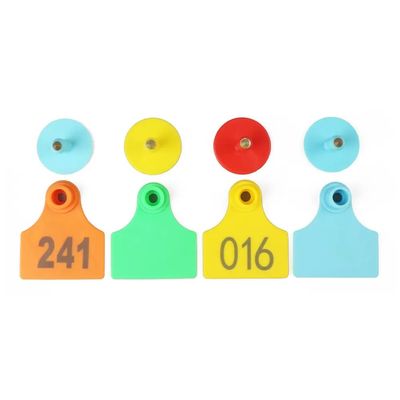 70x80mm 104x74mm UHF Ετικέτες αυτιών RFID ζώων υλικό TPU για παρακολούθηση κτηνοτροφίας